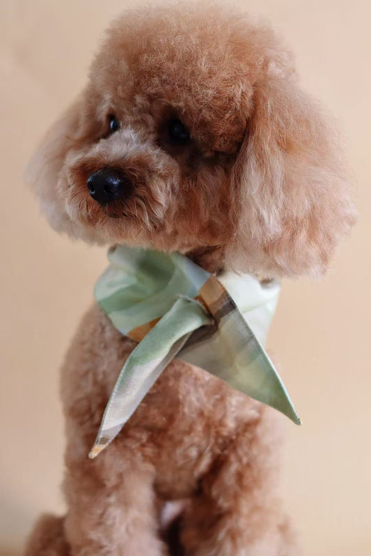 Ochre Pet bandana