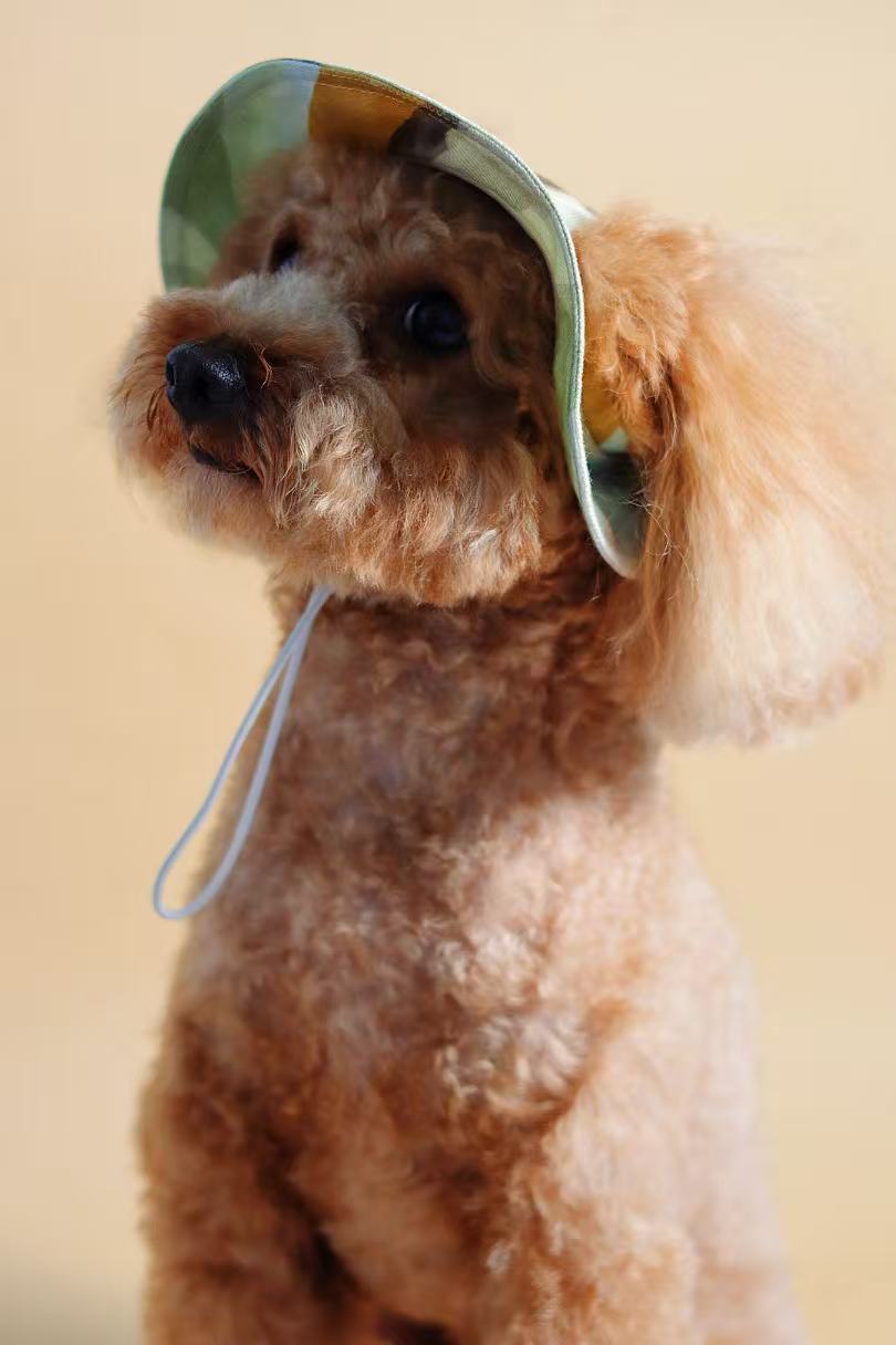 Ochre Pet Bucket Hat