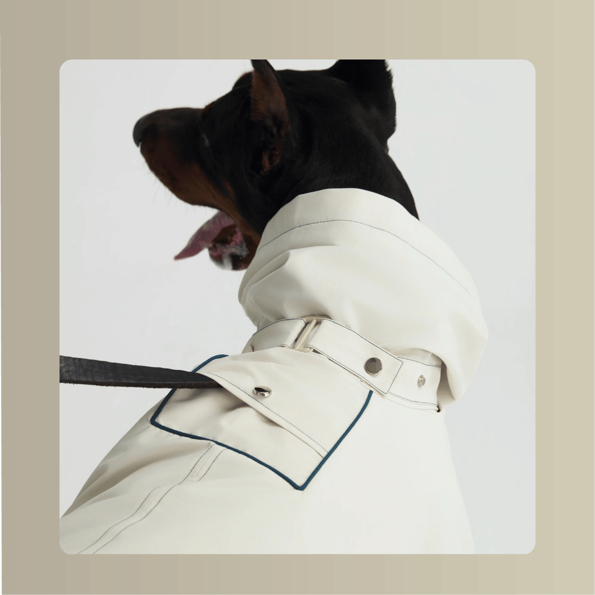 All-Weather_Cape__Four-Leg_Suit_Set_dograincoat