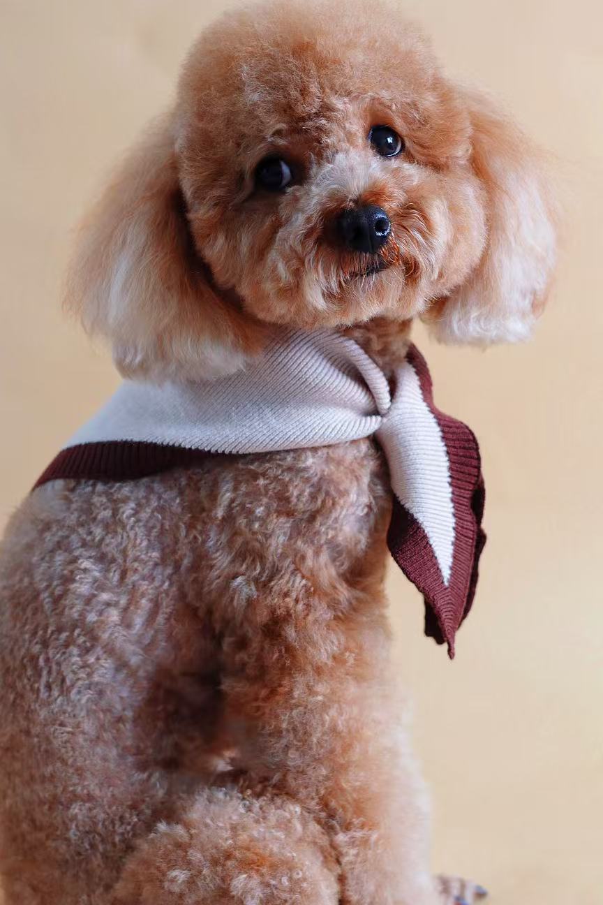 Chalky Pet bandana