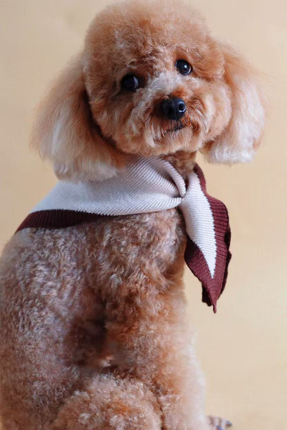 Chalky Pet bandana