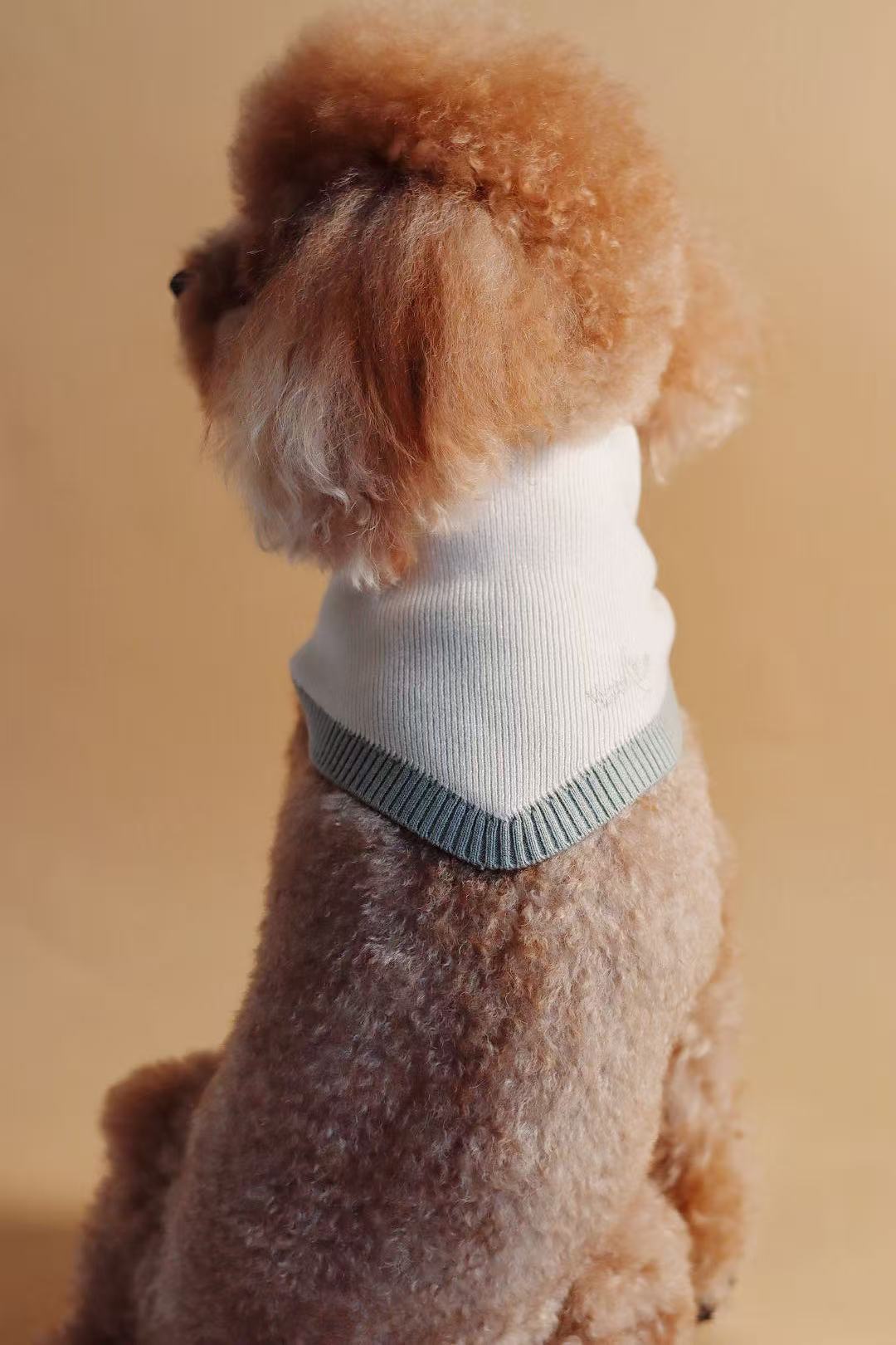 Chalky Pet bandana