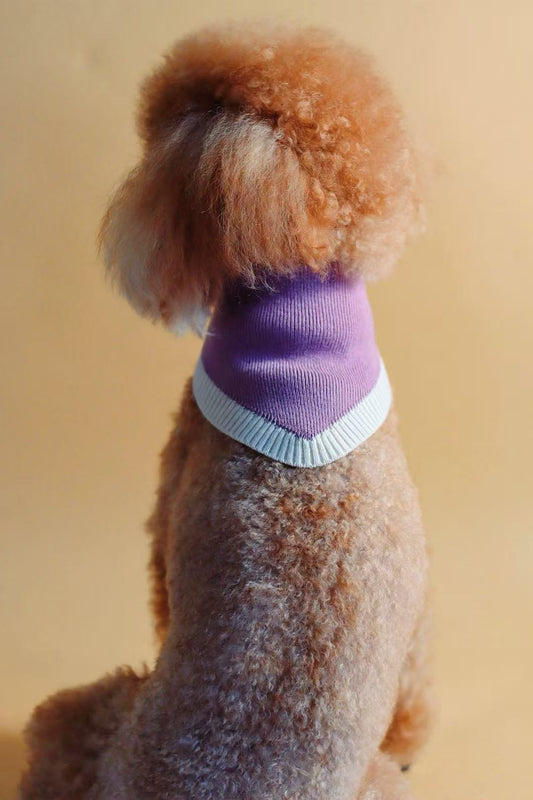 Chalky Pet bandana