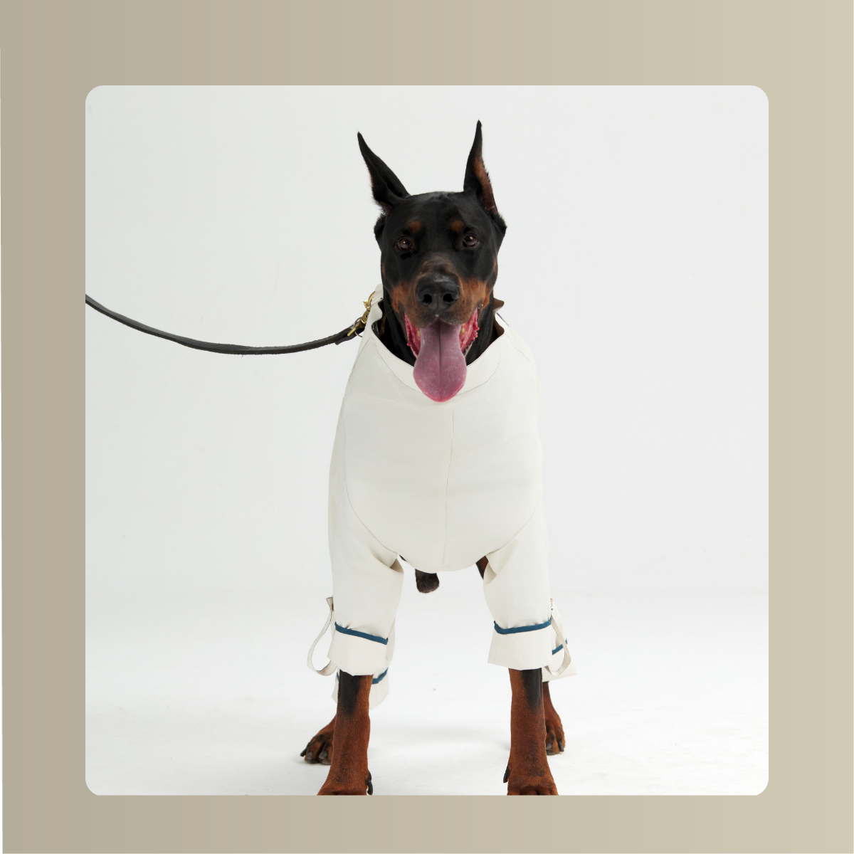 Lulu All-Weather Cape & Four-Leg Jumpsuit Set