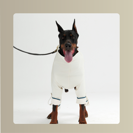 Lulu All-Weather Cape & Four-Leg Jumpsuit Set