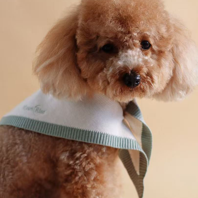Chalky Pet bandana