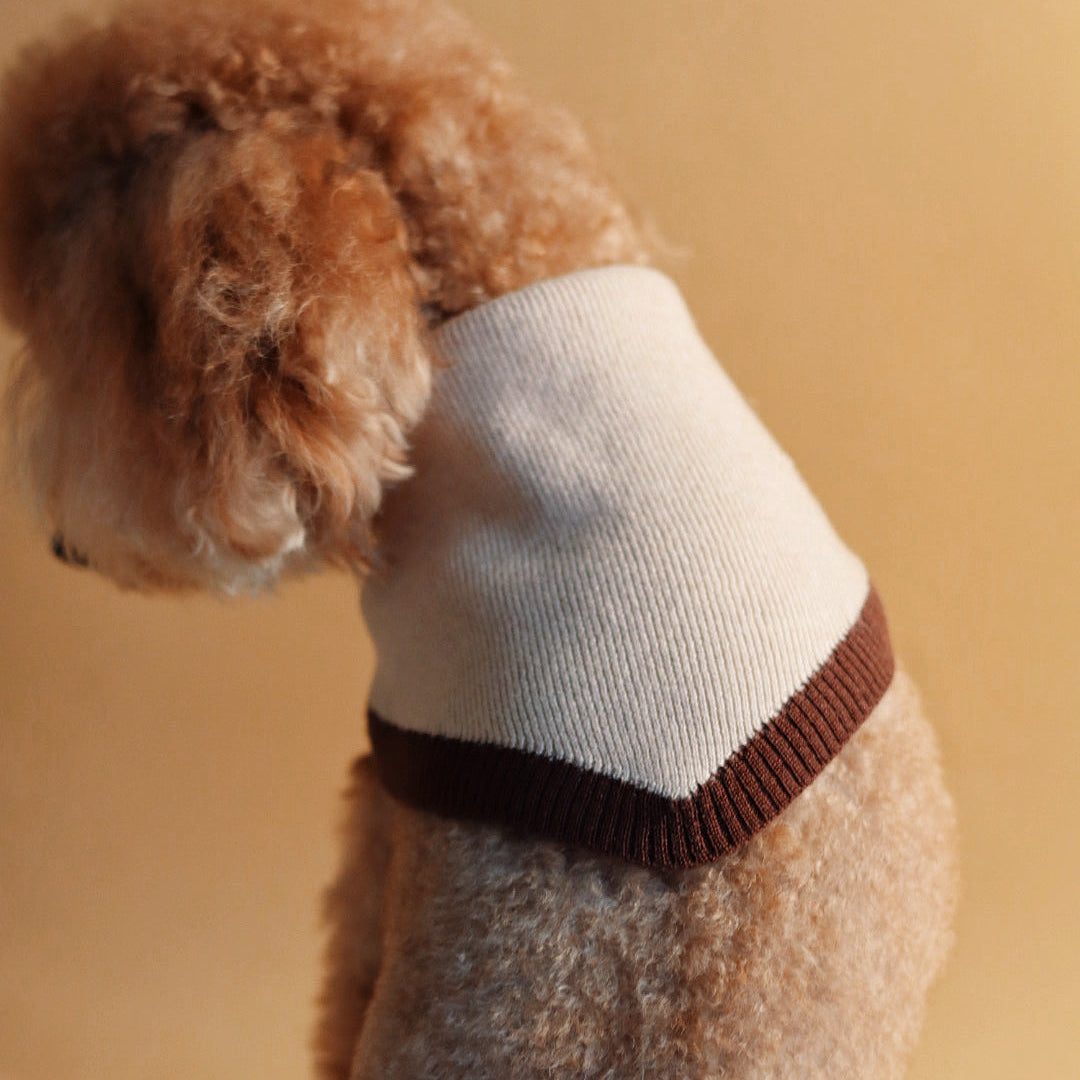 Chalky Pet bandana