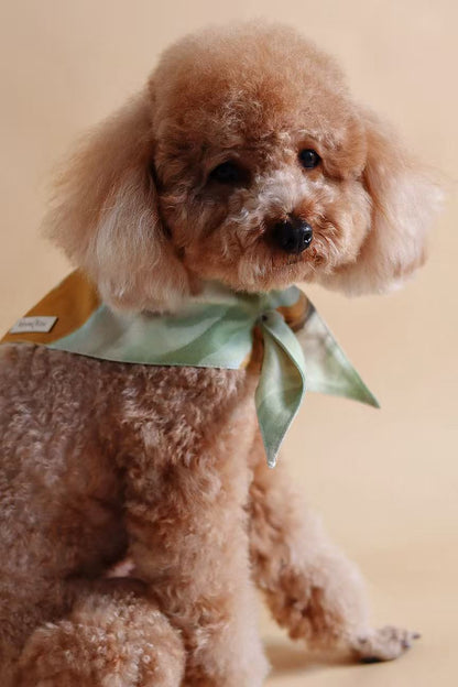 Ochre Pet bandana