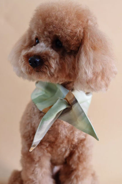 Ochre Pet bandana