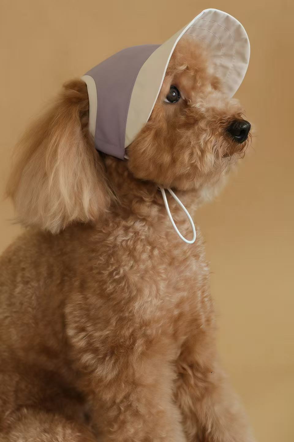 Chalky Hat – UV & Rain Protection for Pets