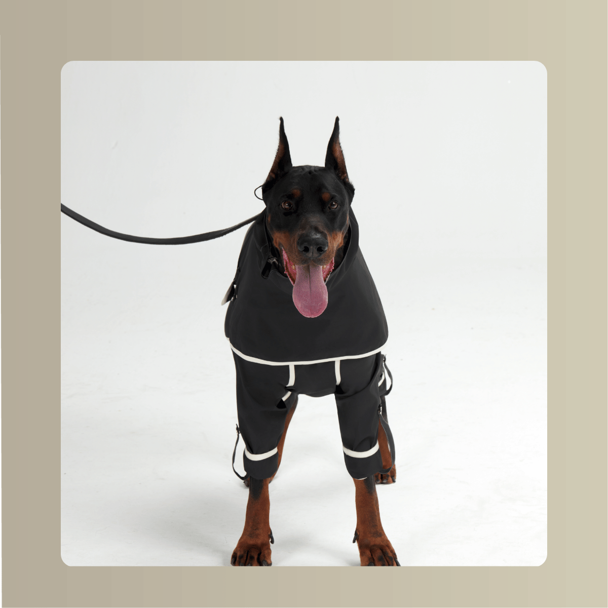 All-Weather_Cape__Four-Leg_Suit_Set_Dograintcoat