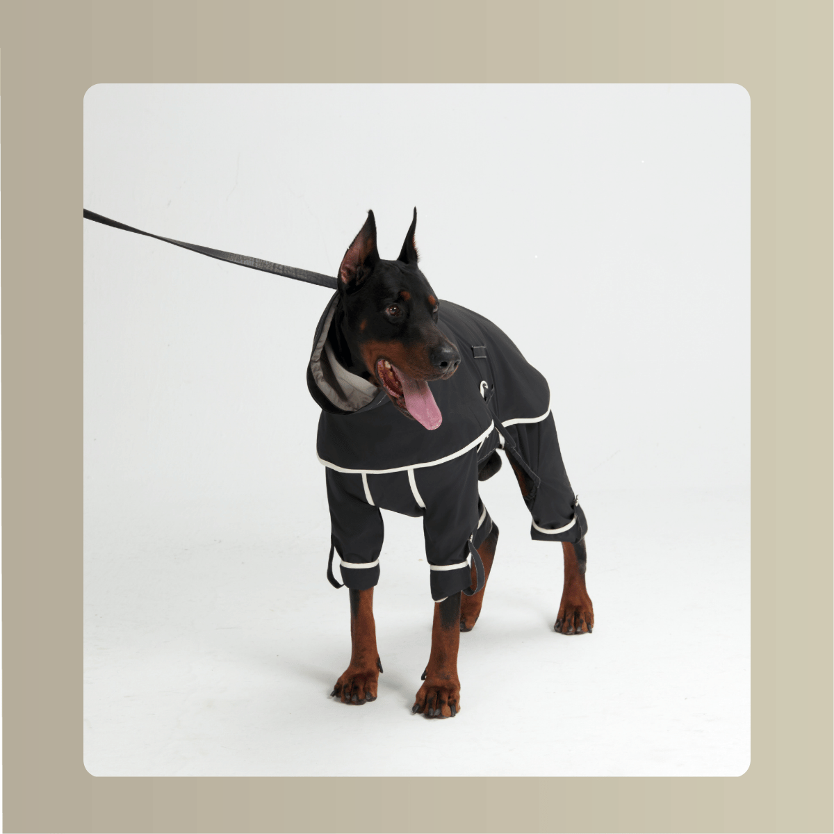 All-Weather_Cape__Four-Leg_Suit_Set_Dograintcoat