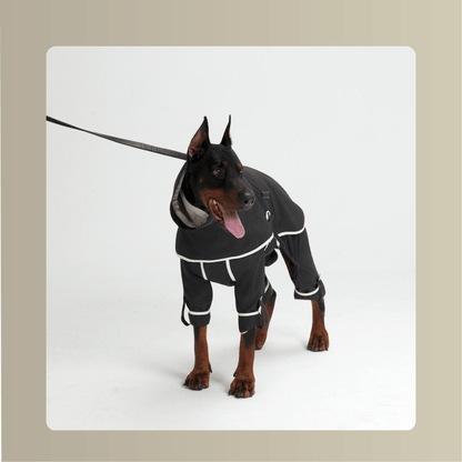 All-Weather_Cape__Four-Leg_Suit_Set_Dograintcoat