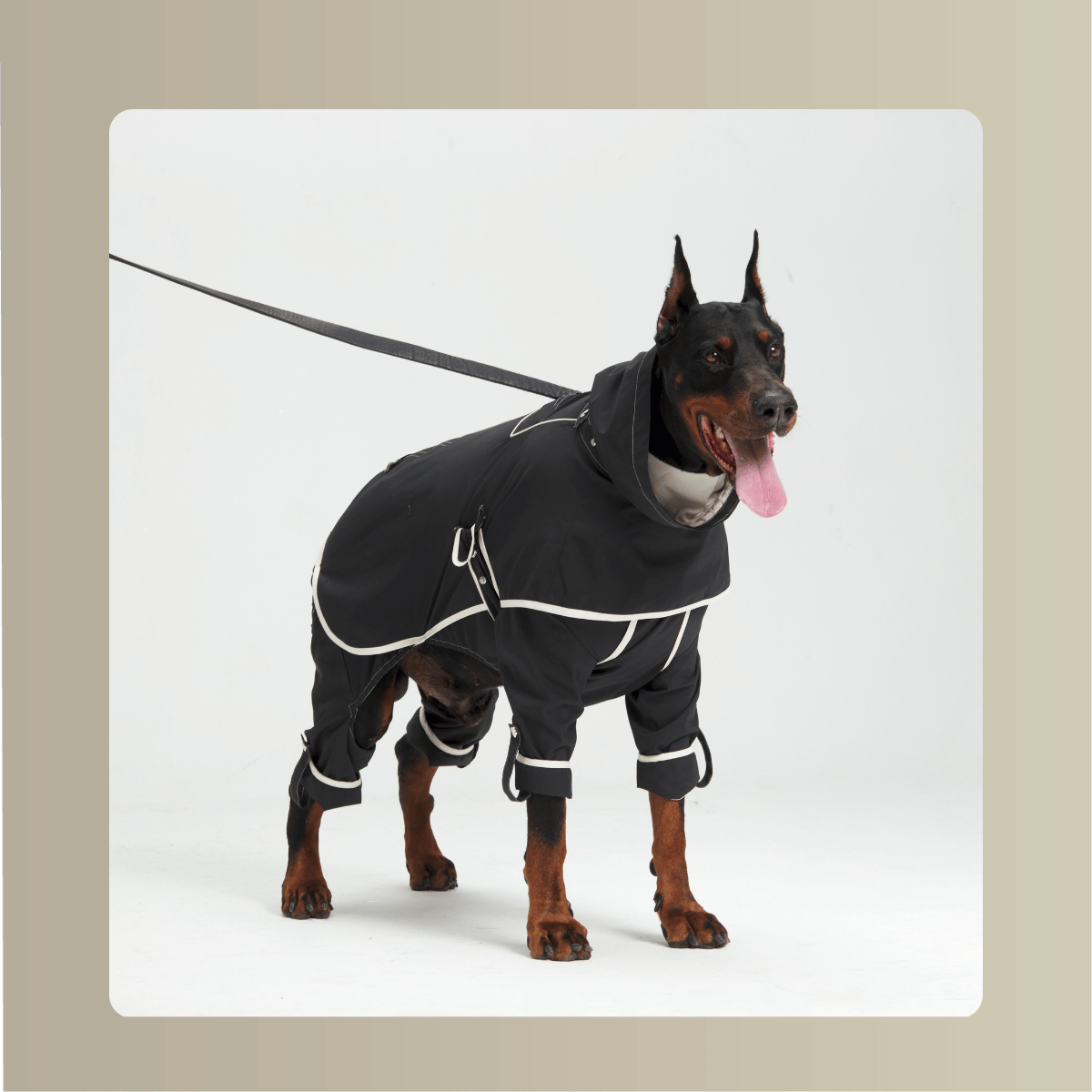 All-Weather_Cape__Four-Leg_Suit_Set_Dograintcoat