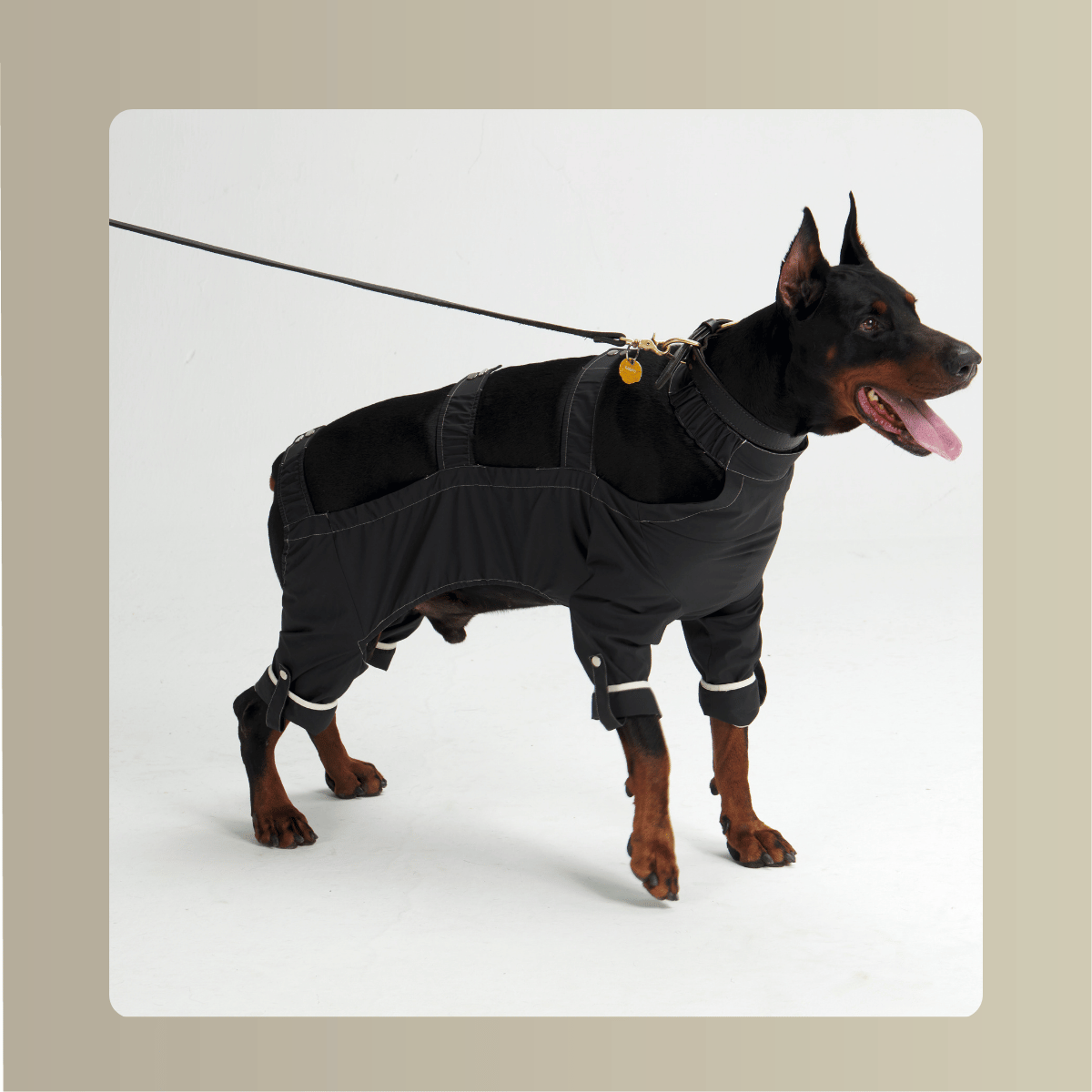 All-Weather_Cape__Four-Leg_Suit_Set_Dograintcoat