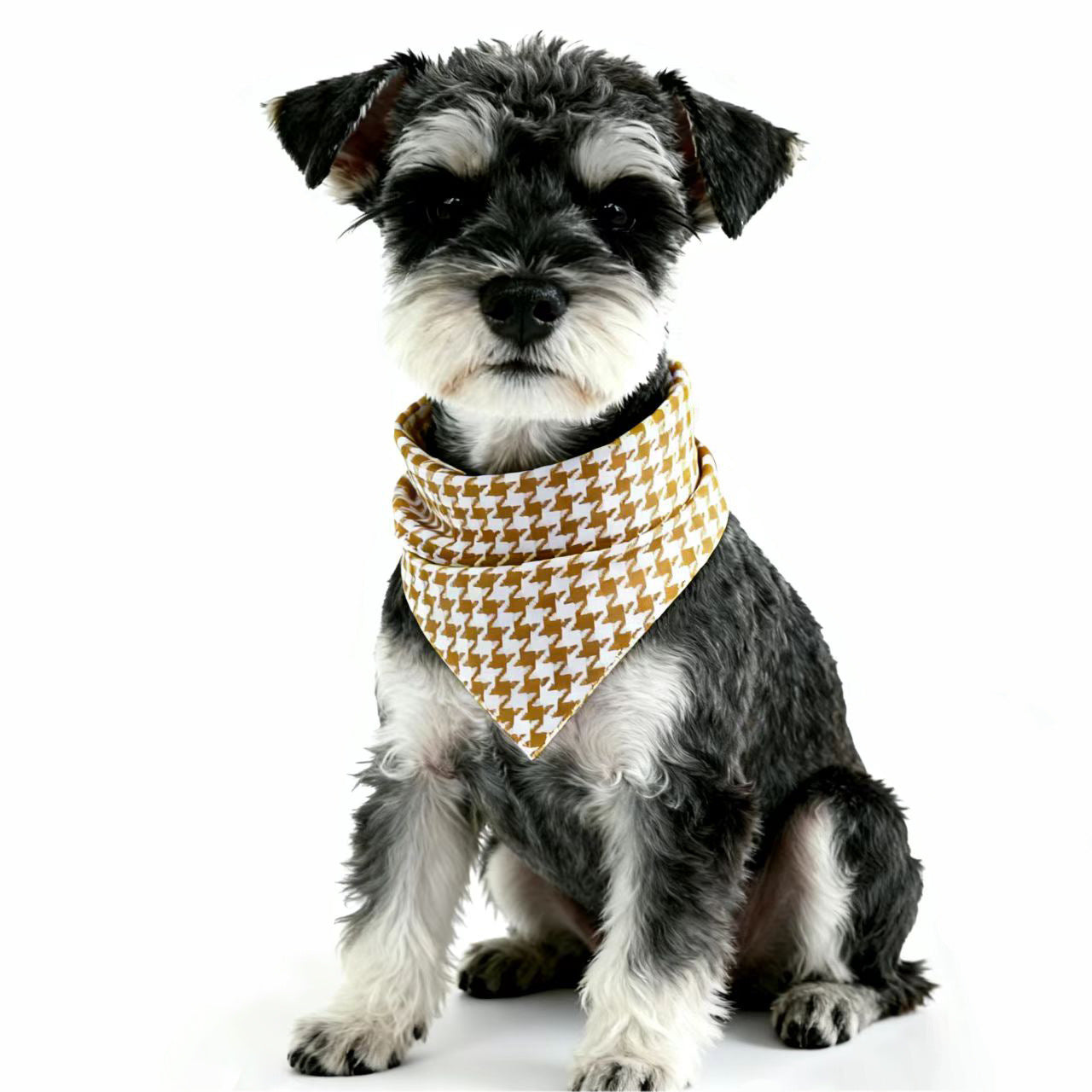 Gramme Pet Bandana