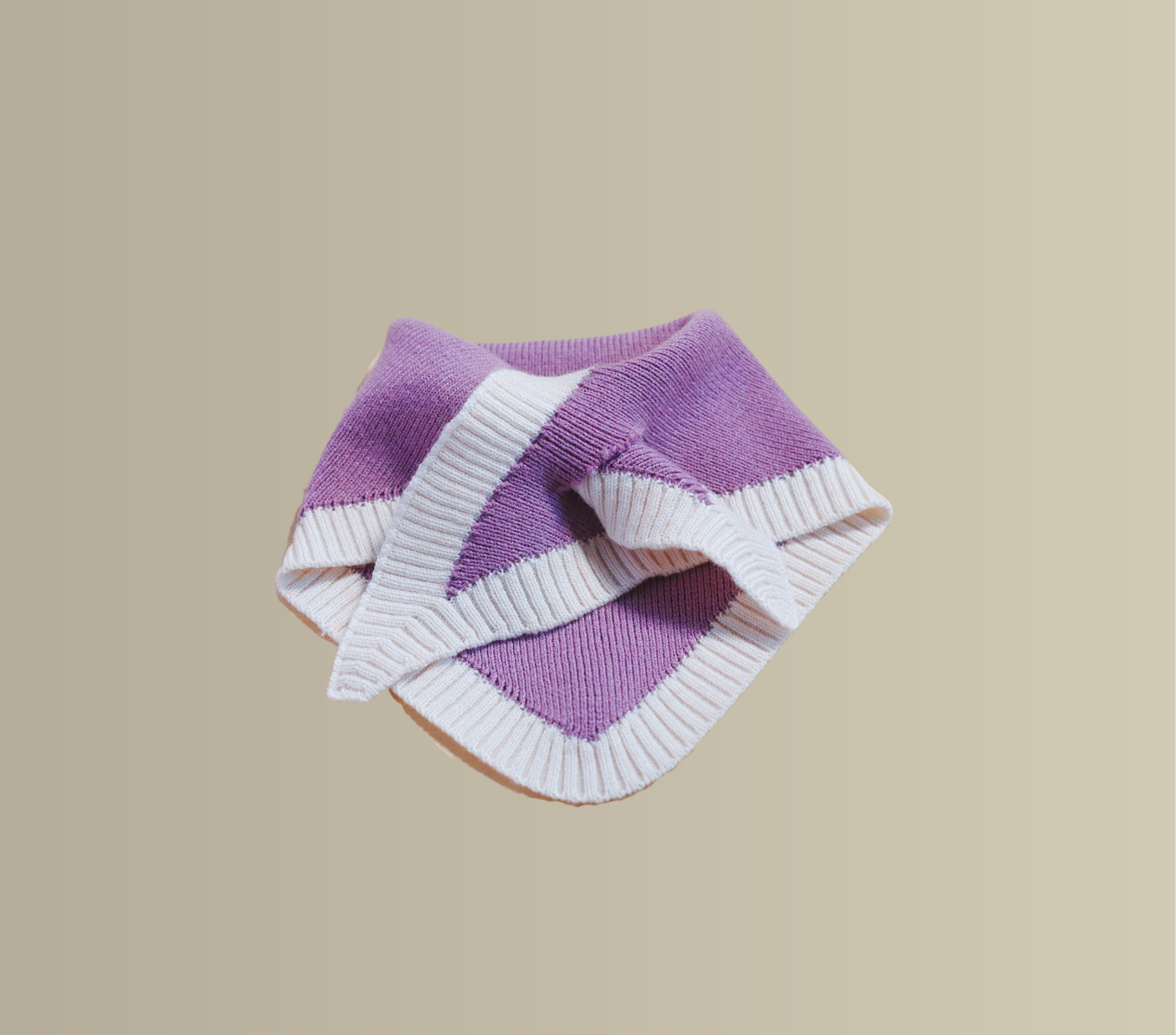 Purple_slipin_bandana_for_pets