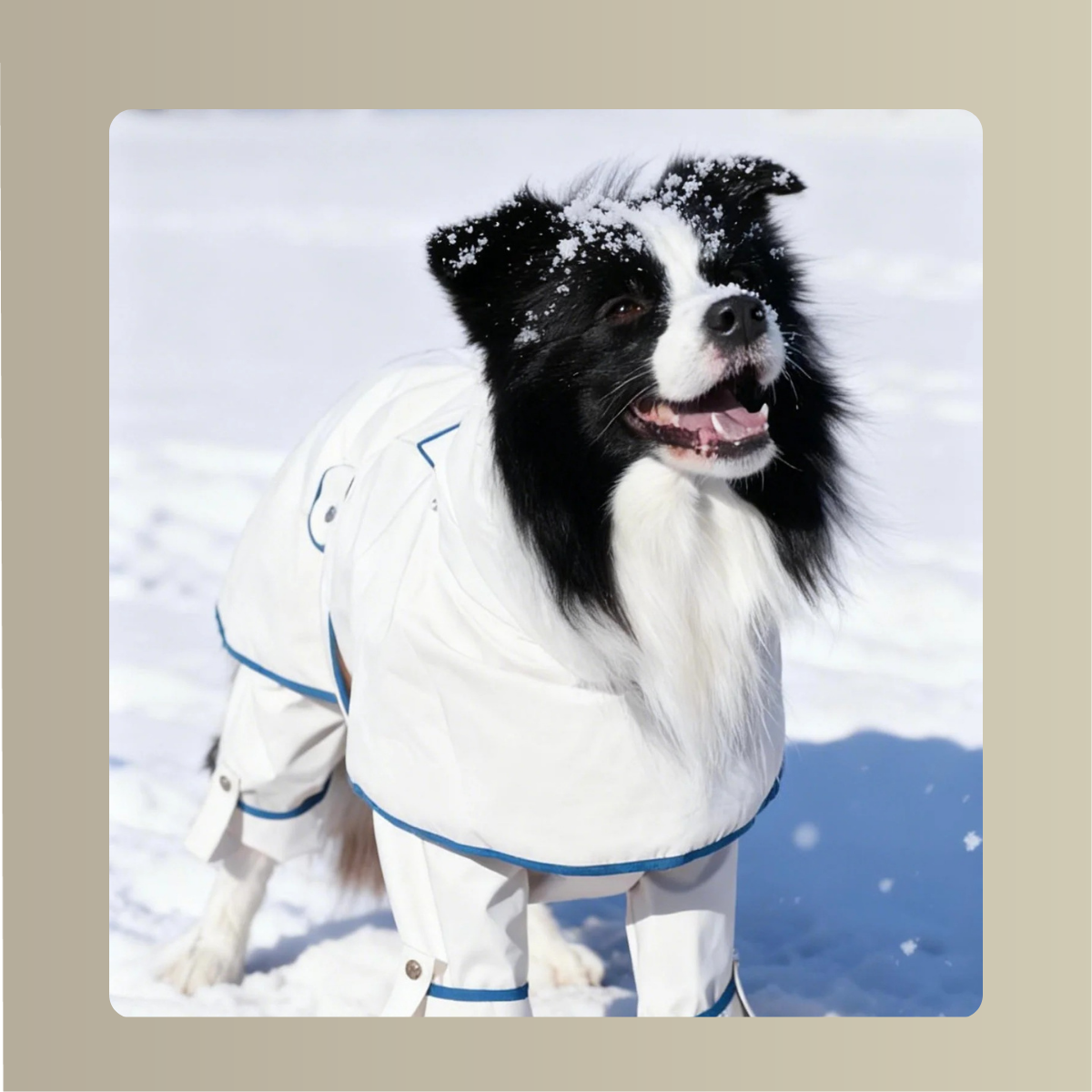 Lulu All-Weather Cape & Four-Leg Jumpsuit Set