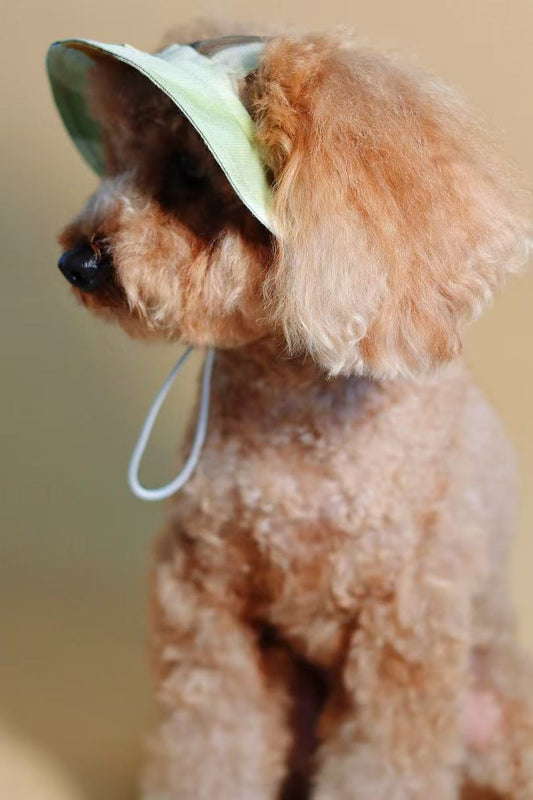 Ochre Pet Bucket Hat