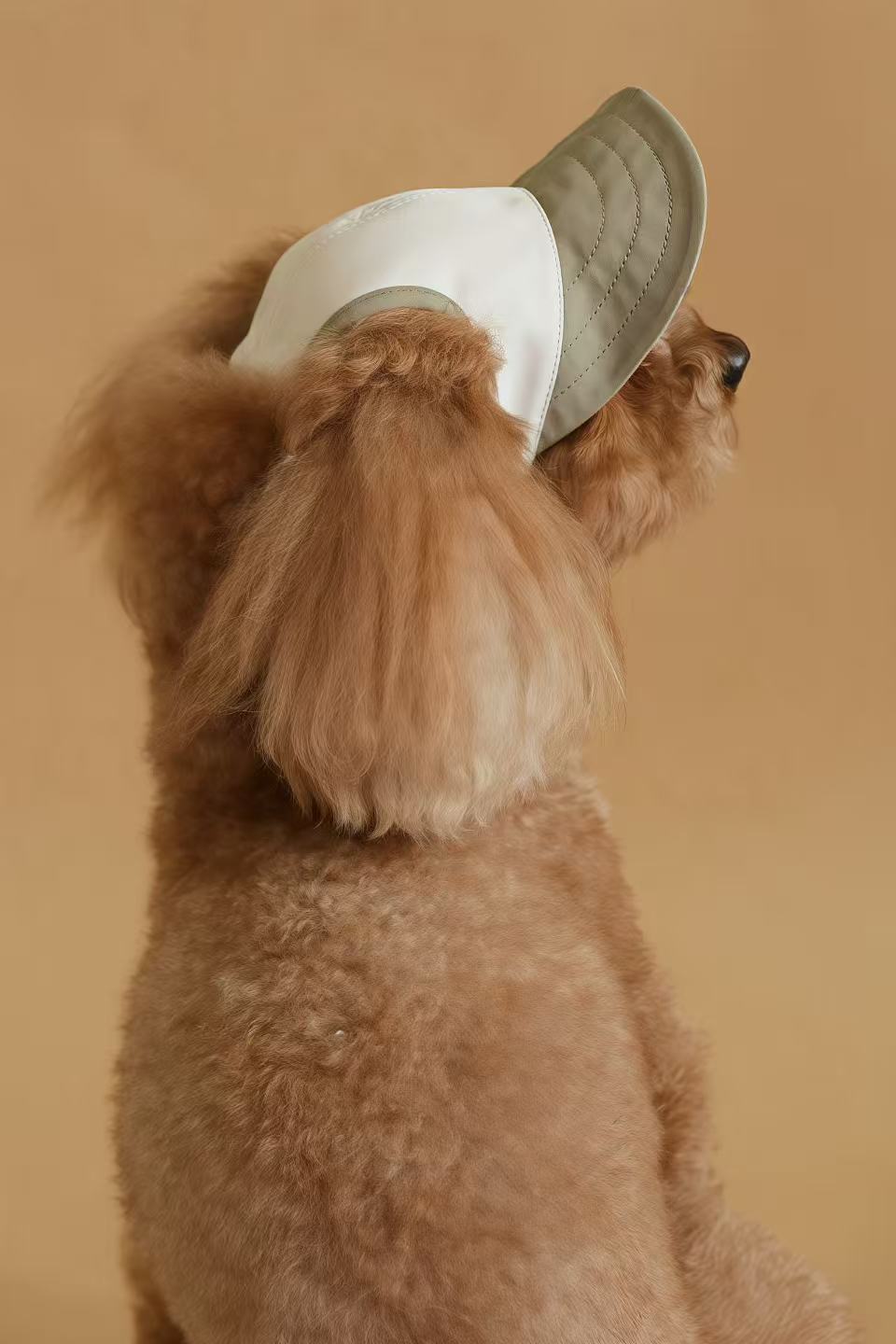 Chalky Hat – UV & Rain Protection for Pets
